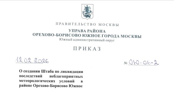 Создание Штаба по ликвидации последствий неблагоприятных метрологических условий в районе Орехово-Борисово Южное
