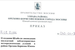 Создание Штаба по ликвидации последствий неблагоприятных метрологических условий в районе Орехово-Борисово Южное